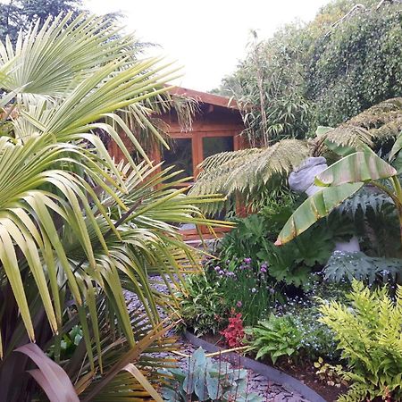 Cabin Set In A Beautiful Romantic Tropical Garden Саттон-Колдфилд Экстерьер фото