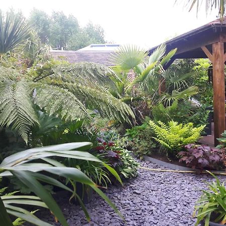 Cabin Set In A Beautiful Romantic Tropical Garden Саттон-Колдфилд Экстерьер фото