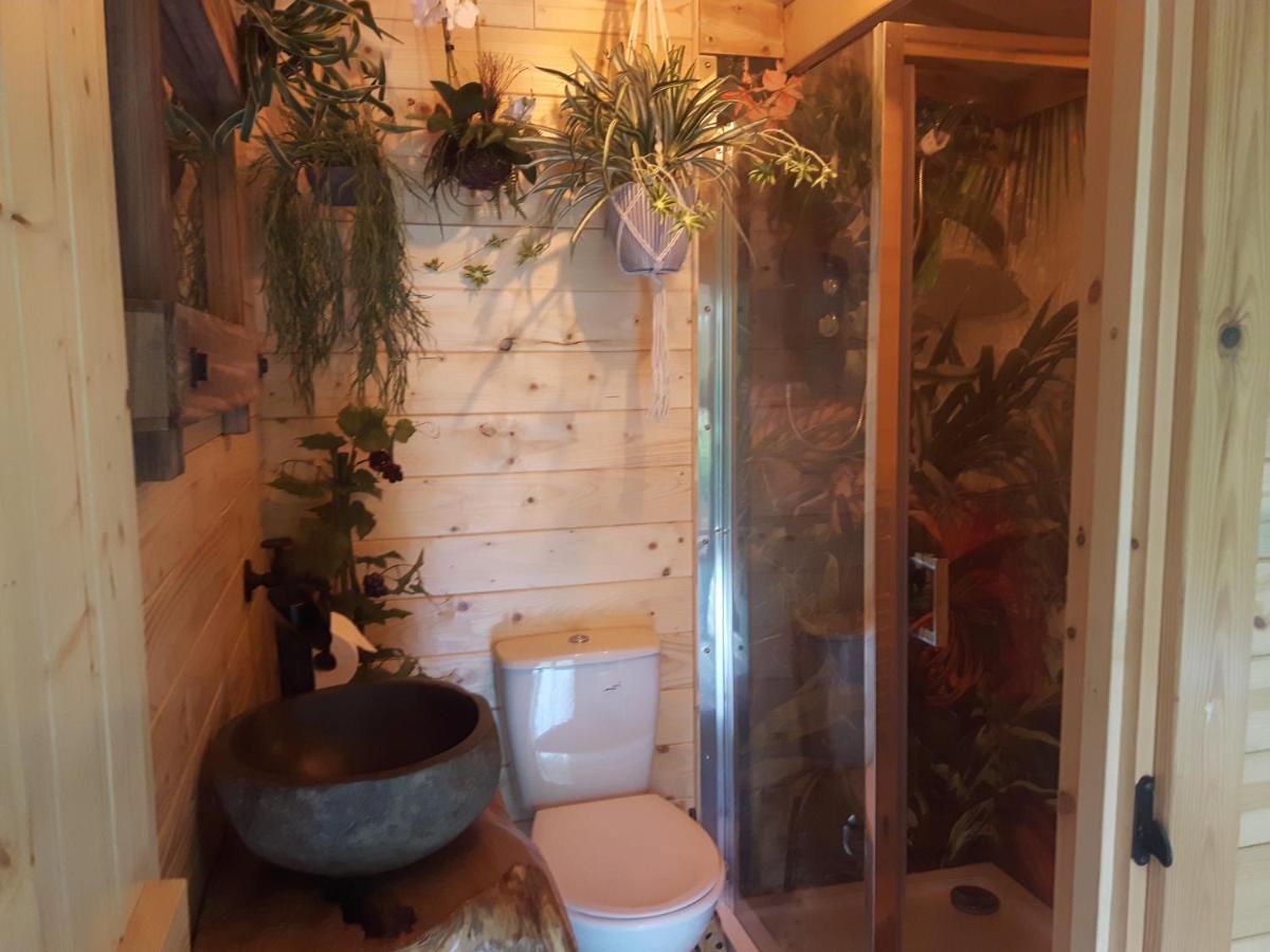 Cabin Set In A Beautiful Romantic Tropical Garden Саттон-Колдфилд Экстерьер фото