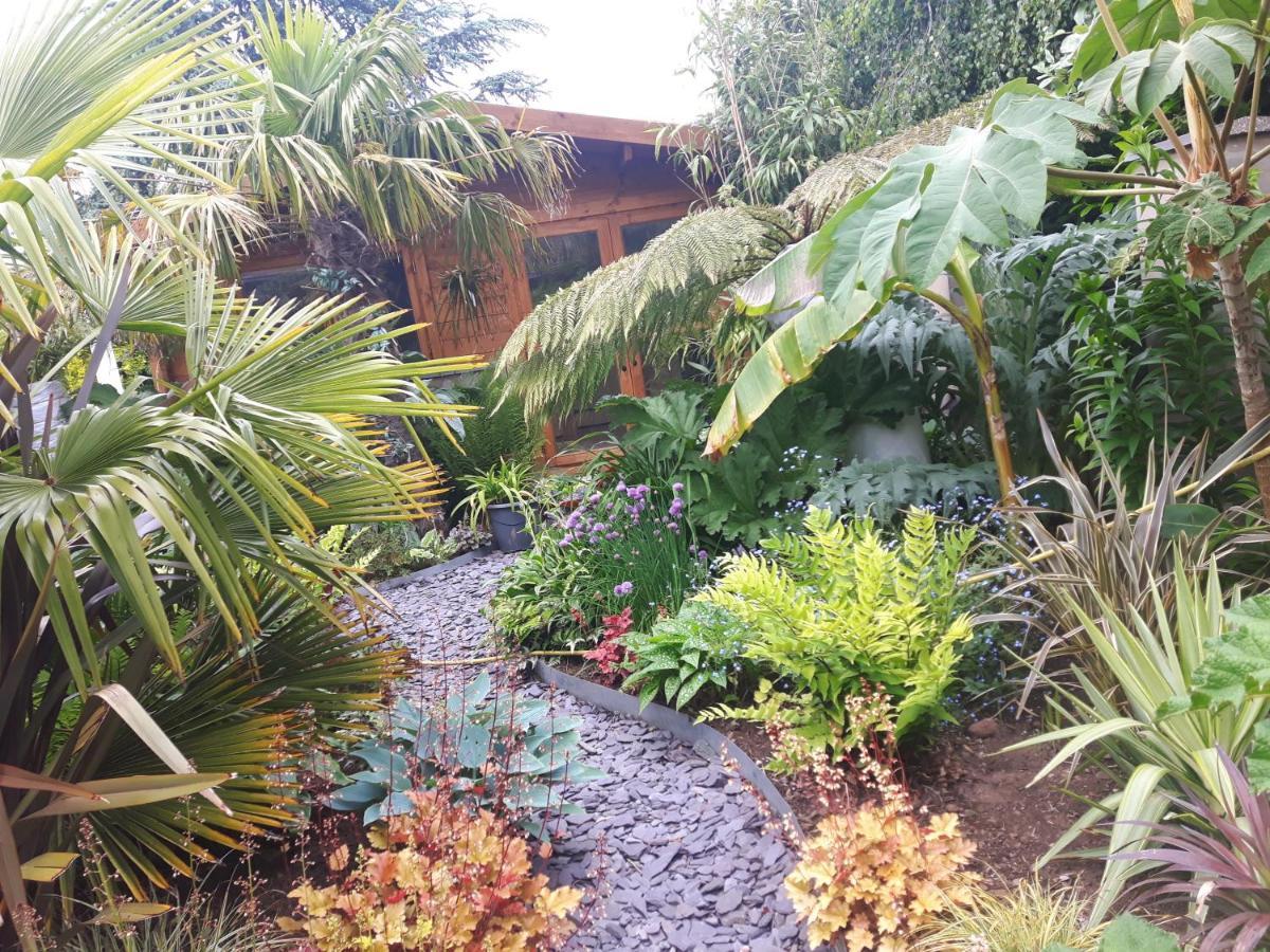 Cabin Set In A Beautiful Romantic Tropical Garden Саттон-Колдфилд Экстерьер фото