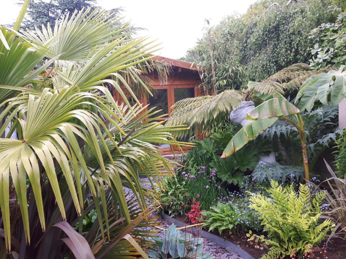 Cabin Set In A Beautiful Romantic Tropical Garden Саттон-Колдфилд Экстерьер фото