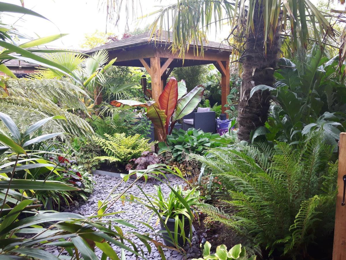 Cabin Set In A Beautiful Romantic Tropical Garden Саттон-Колдфилд Экстерьер фото